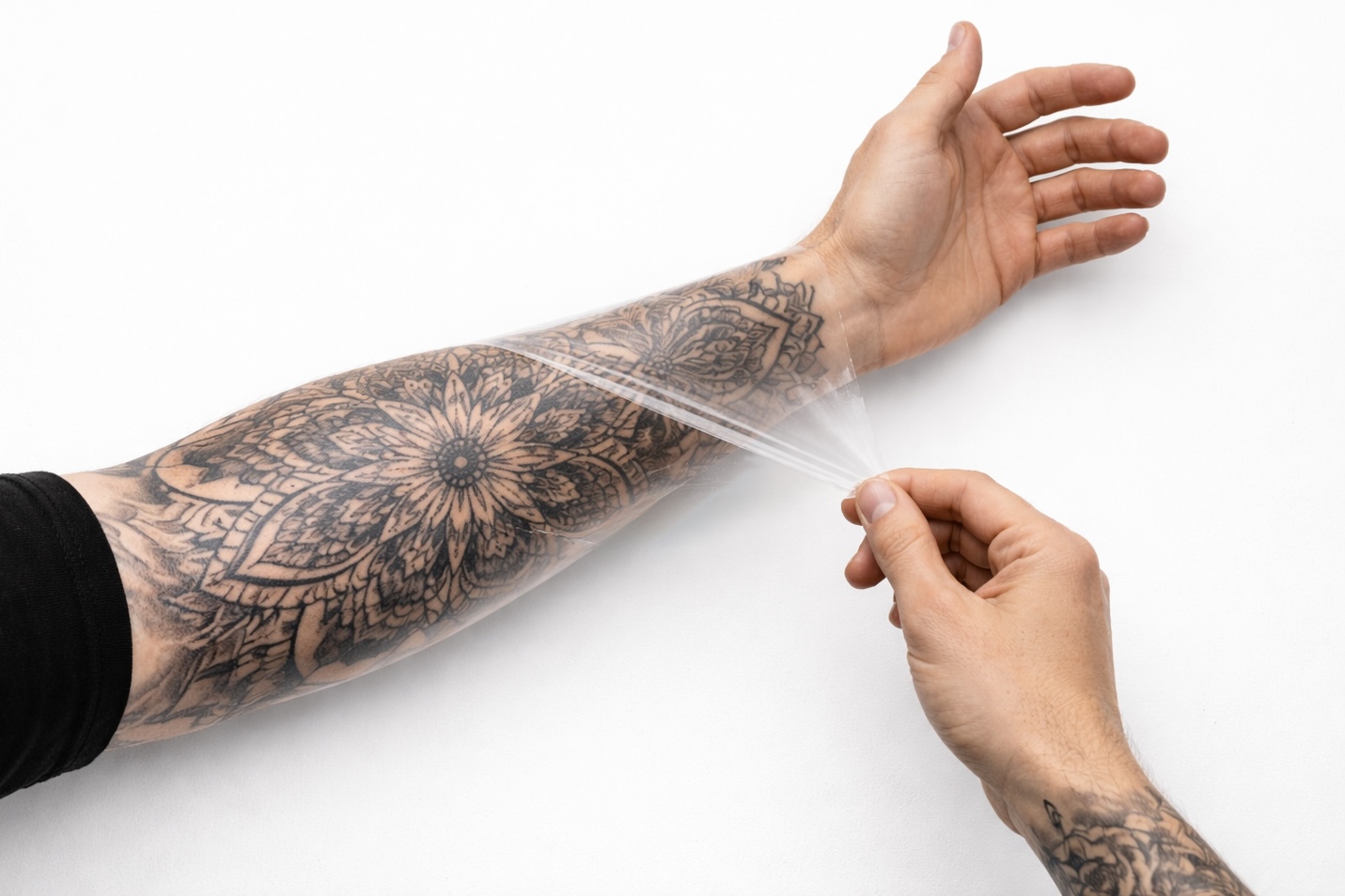 09501125-A676-4BD4-B55F-F7C02282F2FA